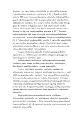 Kladistikos principai 8 puslapis