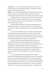 Taksonomija praktikoje 12 puslapis