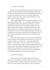 Taksonomija praktikoje 3 puslapis