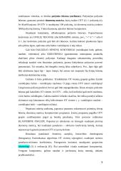 Skaitmeninės taksonomijos įtaka šiuolaikinei klasifikacijai 3 puslapis