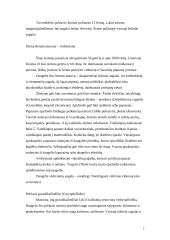 Klasė magnolijainiai 2 puslapis