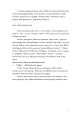 Klasė magnolijainiai 4 puslapis