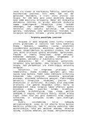 Ar meteorolabilumo paslaptis – jonai? 3 puslapis