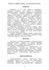 Žmogaus mityba ir chemija - du neatsiejami dalykai 2 puslapis