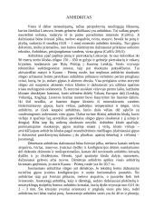 Viskas apie opoką 2 puslapis