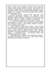 Onos bažnyčia 4 puslapis