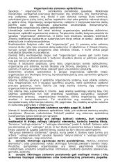 Organizacinės sistemos apibrėžimas