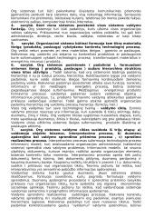 Organizacinės sistemos apibrėžimas 2 puslapis