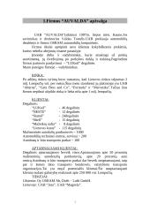 Finansinė firmos apžvalga