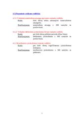 Finansinė firmos apžvalga 11 puslapis