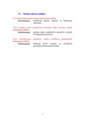 Finansinė firmos apžvalga 12 puslapis