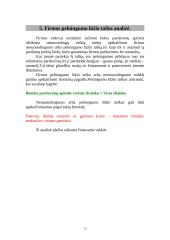 Finansinė firmos apžvalga 13 puslapis