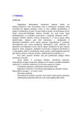 Finansinė firmos apžvalga 3 puslapis