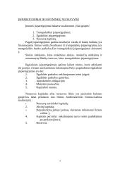 Finansinė firmos apžvalga 4 puslapis