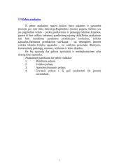 Finansinė firmos apžvalga 5 puslapis