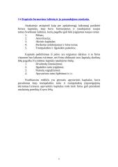 Finansinė firmos apžvalga 6 puslapis