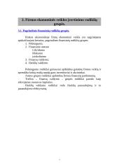 Finansinė firmos apžvalga 7 puslapis