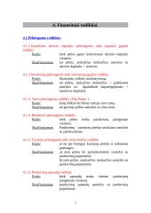 Finansinė firmos apžvalga 8 puslapis