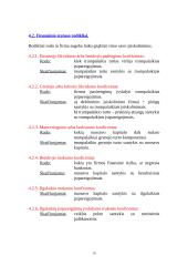 Finansinė firmos apžvalga 10 puslapis