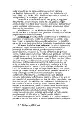 Forfeitingo vertybiniai popieriai  7 puslapis