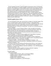  Europos Bendrijos konkurencijos politika 6 puslapis