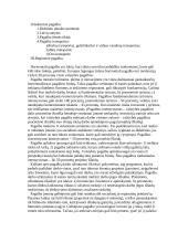  Europos Bendrijos konkurencijos politika 7 puslapis