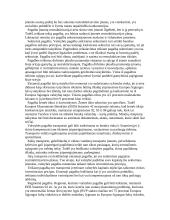  Europos Bendrijos konkurencijos politika 8 puslapis