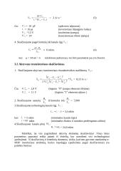 Aktyvių elementų skaičiavimai 5 puslapis