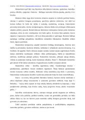 Komizmo sukūrimo priemonės 4 puslapis