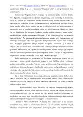 Komizmo sukūrimo priemonės 7 puslapis