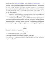 Komizmo sukūrimo priemonės 8 puslapis