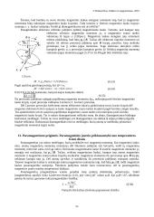 Magnetizmas ir magnetikai 11 puslapis