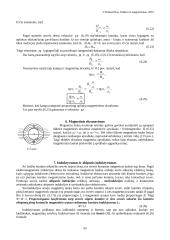 Magnetizmas ir magnetikai 5 puslapis