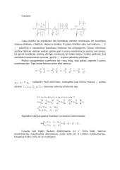 Reliatyvumo teorijos postulatai 10 puslapis