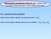 Atsitiktiniai vyksniai 11 puslapis