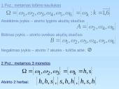 Atsitiktiniai vyksniai 13 puslapis