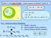 Atsitiktiniai vyksniai 16 puslapis