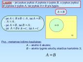 Atsitiktiniai vyksniai 17 puslapis