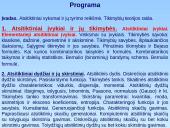 Atsitiktiniai vyksniai 9 puslapis