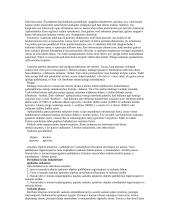 Bendrosios apskaitos teorija 13 puslapis