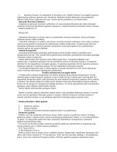 Bendrosios apskaitos teorija 15 puslapis