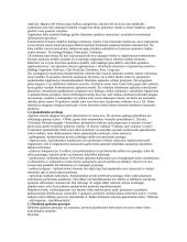 Bendrosios apskaitos teorija 3 puslapis