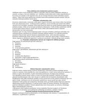 Bendrosios apskaitos teorija 5 puslapis