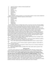 Bendrosios apskaitos teorija 8 puslapis