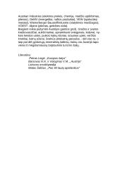 Austrijos šalis 13 puslapis