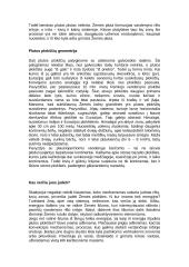 Kontinentai ir plutos plokštės 5 puslapis