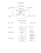Formalus informacijos menedžmento modelis 2 puslapis