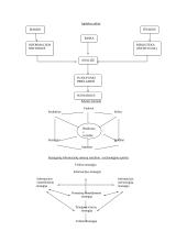 Formalus informacijos menedžmento modelis 3 puslapis