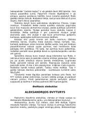 Septynių pasaulio stebuklų informacija 7 puslapis