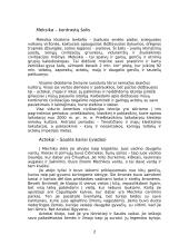 Actekų civilizacija 2 puslapis